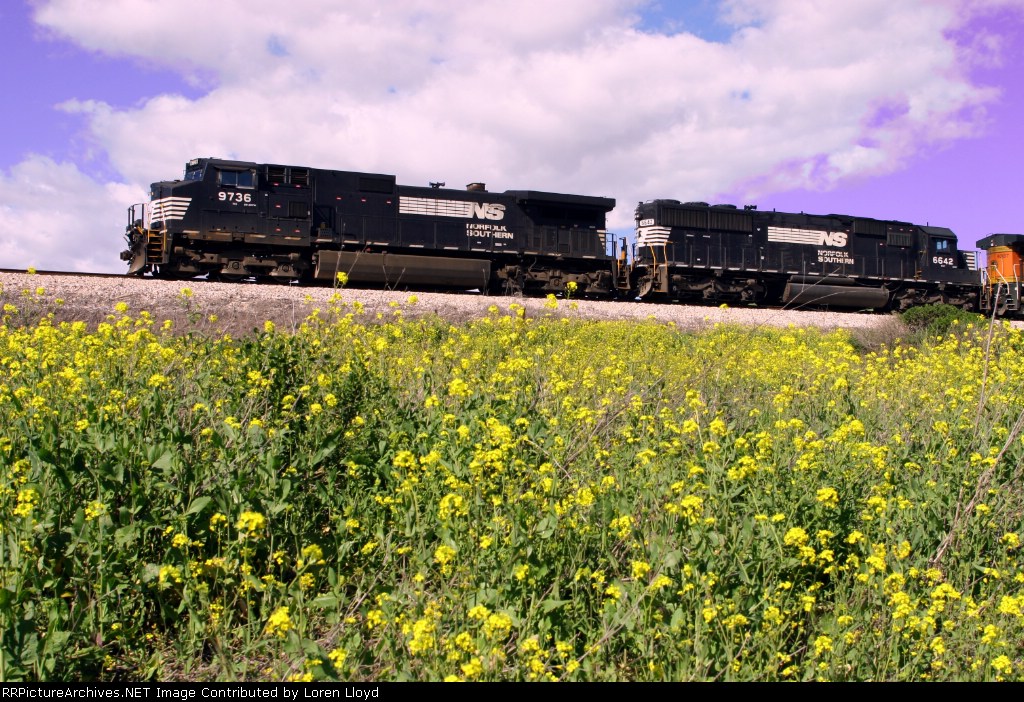 Norfolk Southern engines on loan to BNSF at Franklin Canyon